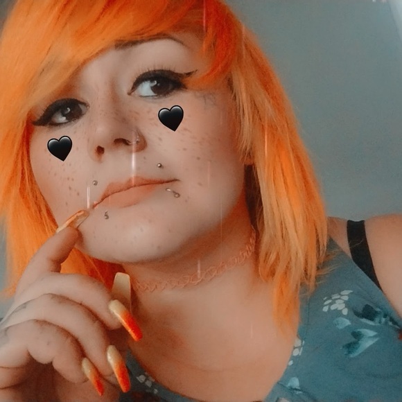 Meet your Posher, Savanna - Picture 1 of 1